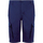Abbigliamento Uomo Shorts / Bermuda Sols Jackson Blu