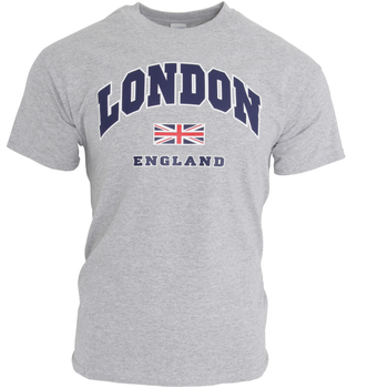 Abbigliamento Uomo T-shirt maniche corte England  Grigio