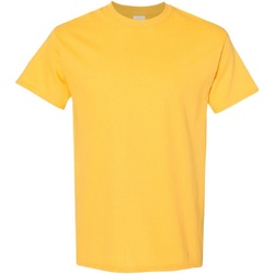 Abbigliamento Uomo T-shirt maniche corte Gildan Heavy Multicolore
