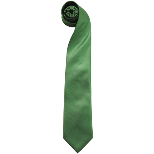 Abbigliamento Uomo Cravatte e accessori Premier RW6935 Multicolore