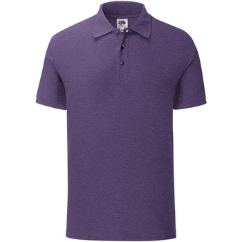 Abbigliamento Uomo T-shirt & Polo Fruit Of The Loom Iconic Viola