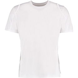 Abbigliamento Uomo T-shirt maniche corte Gamegear Cooltex Bianco