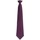 Abbigliamento Uomo Cravatte e accessori Premier PR785 Viola