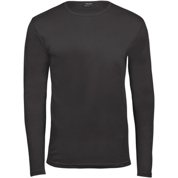 Abbigliamento Uomo T-shirts a maniche lunghe Tee Jays TJ530 Grigio