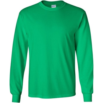 Abbigliamento Uomo T-shirts a maniche lunghe Gildan 2400 Verde