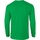 Abbigliamento Uomo T-shirts a maniche lunghe Gildan 2400 Verde