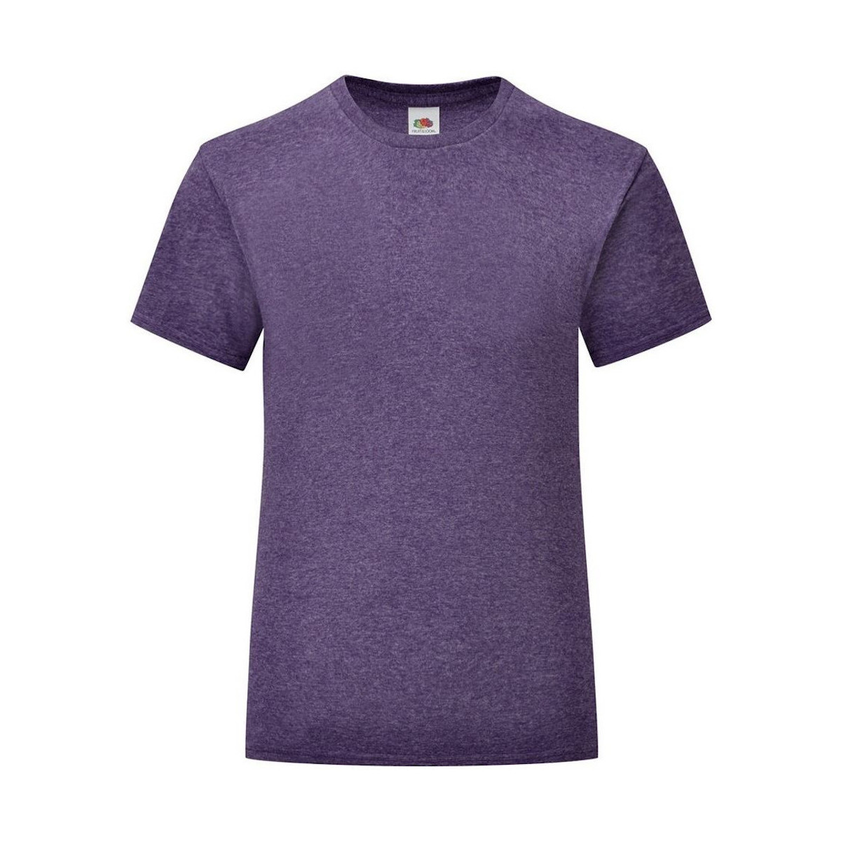 Abbigliamento Bambina T-shirts a maniche lunghe Fruit Of The Loom Iconic Viola