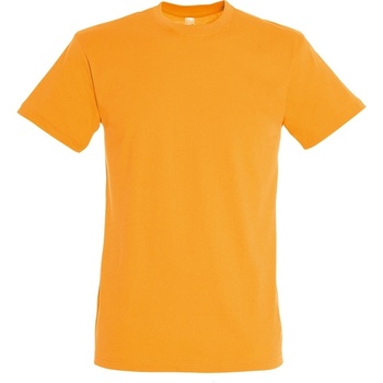 Abbigliamento Uomo T-shirt maniche corte Sols Regent Arancio