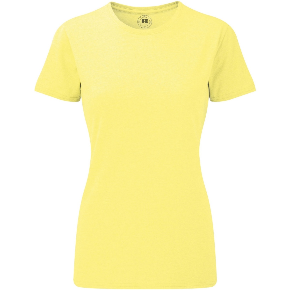 Abbigliamento Donna T-shirts a maniche lunghe Russell 165F Multicolore