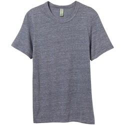 Abbigliamento Uomo T-shirts a maniche lunghe Alternative Apparel AT001 Blu