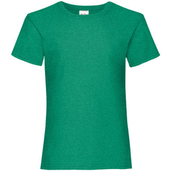 Abbigliamento Bambina T-shirt maniche corte Fruit Of The Loom 61005 Verde