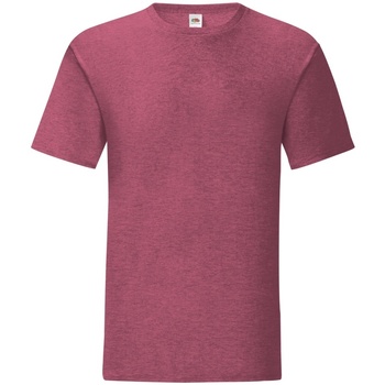 Abbigliamento Uomo T-shirts a maniche lunghe Fruit Of The Loom Iconic 150 Multicolore
