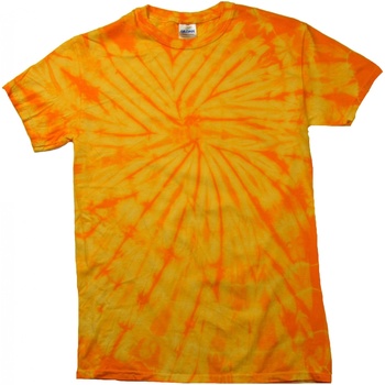 Abbigliamento Unisex bambino T-shirt maniche corte Colortone Spider Multicolore