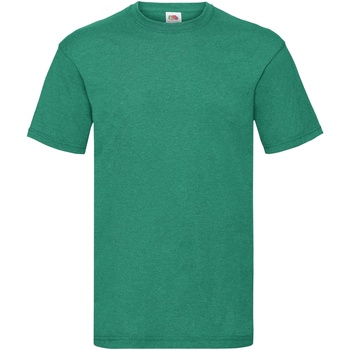 Abbigliamento Uomo T-shirt maniche corte Fruit Of The Loom 61036 Verde