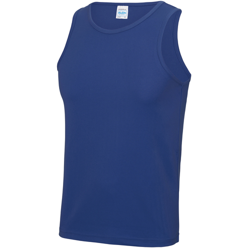 Abbigliamento Uomo Top / T-shirt senza maniche Awdis Just Cool Blu