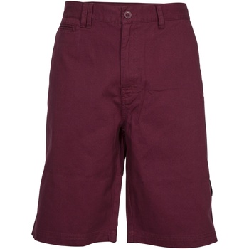Abbigliamento Uomo Shorts / Bermuda Trespass Leominster Multicolore