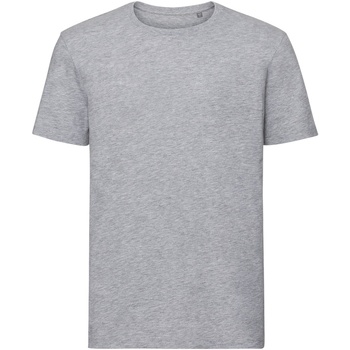 Abbigliamento Uomo T-shirts a maniche lunghe Russell R108M Grigio