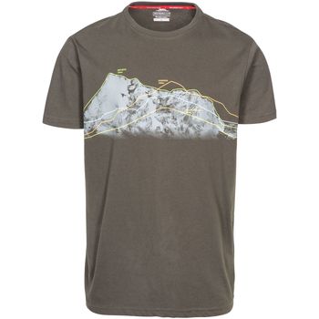 Abbigliamento Uomo T-shirt maniche corte Trespass Cashing Multicolore