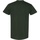 Abbigliamento Uomo T-shirt maniche corte Gildan Heavy Verde