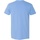 Abbigliamento Uomo T-shirt maniche corte Gildan Softstyle Blu