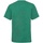 Abbigliamento Unisex bambino T-shirt maniche corte Fruit Of The Loom 61033 Verde