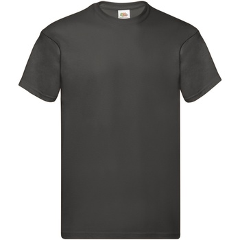 Abbigliamento Uomo T-shirt maniche corte Fruit Of The Loom 61082 Grigio