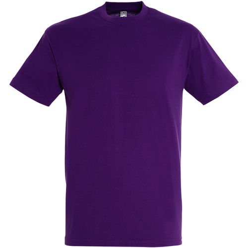 Abbigliamento Uomo T-shirt maniche corte Sols Regent Viola