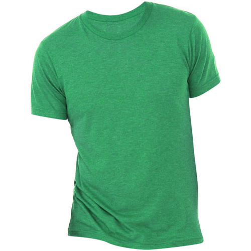 Abbigliamento Uomo T-shirt maniche corte Bella + Canvas CA3413 Verde