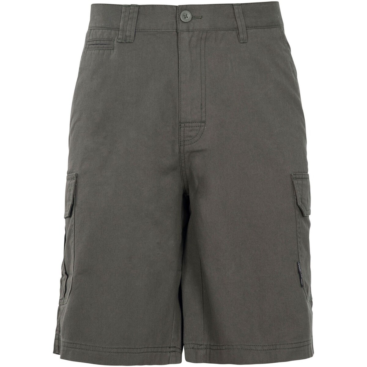 Abbigliamento Uomo Shorts / Bermuda Trespass Rawson Verde