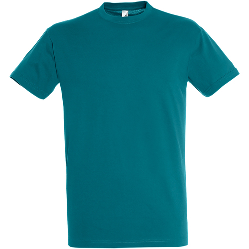 Abbigliamento Uomo T-shirt maniche corte Sols Regent Blu