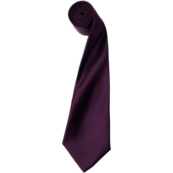 Abbigliamento Uomo Cravatte e accessori Premier PR750 Multicolore