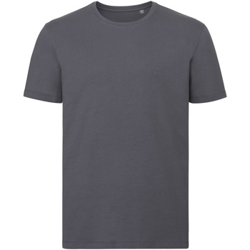 Abbigliamento Uomo T-shirts a maniche lunghe Russell R108M Grigio