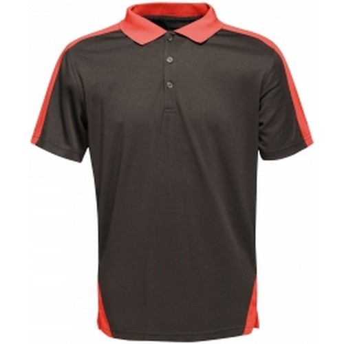 Abbigliamento Uomo T-shirt & Polo Regatta RG3573 Nero