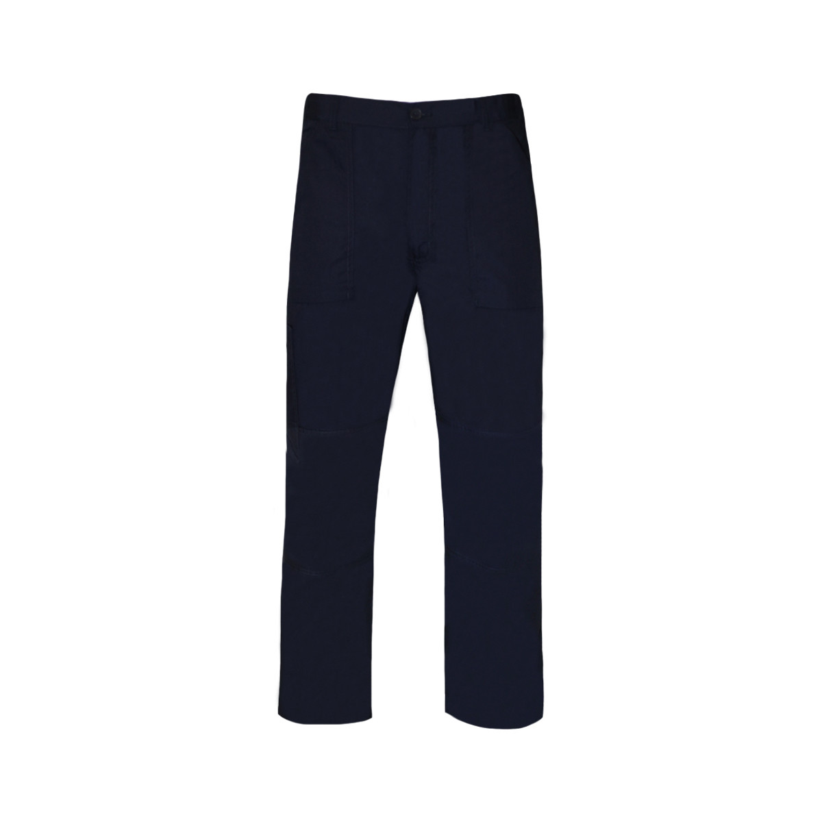 Abbigliamento Uomo Pantaloni da tuta Regatta TRJ330R Blu