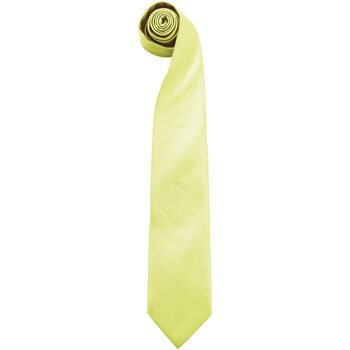 Abbigliamento Uomo Cravatte e accessori Premier PR765 Verde