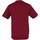 Abbigliamento Uomo T-shirts a maniche lunghe Awdis Just Cool Performance Rosso