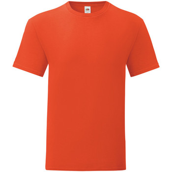 Abbigliamento Uomo T-shirts a maniche lunghe Fruit Of The Loom Iconic 150 Arancio