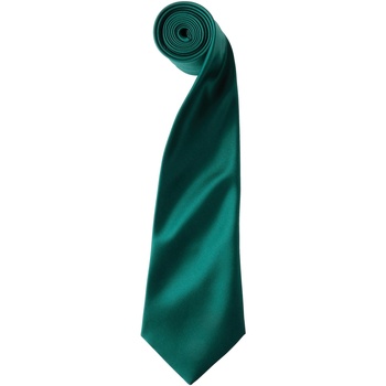 Abbigliamento Uomo Cravatte e accessori Premier PR750 Verde