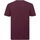 Abbigliamento Uomo T-shirts a maniche lunghe Russell R108M Multicolore