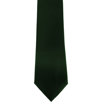 Abbigliamento Uomo Cravatte e accessori Premier Satin Verde