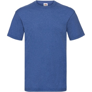 Abbigliamento Uomo T-shirt maniche corte Fruit Of The Loom 61036 Blu