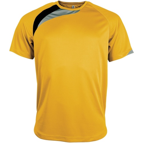 Abbigliamento Uomo T-shirt maniche corte Kariban Proact PA436 Multicolore