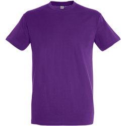 Abbigliamento Uomo T-shirt maniche corte Sols Regent Viola
