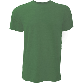 Abbigliamento Uomo T-shirt maniche corte Bella + Canvas CA3001 Verde