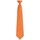 Abbigliamento Uomo Cravatte e accessori Premier PR785 Arancio