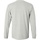 Abbigliamento Uomo T-shirts a maniche lunghe Gildan 2400 Grigio