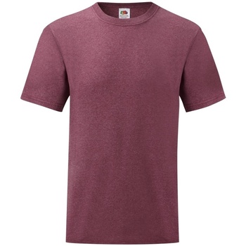 Abbigliamento Uomo T-shirt maniche corte Fruit Of The Loom 61036 Multicolore