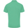 Abbigliamento Uomo Polo maniche corte Premier PR615 Verde