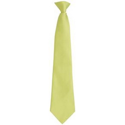 Abbigliamento Uomo Cravatte e accessori Premier PR785 Verde