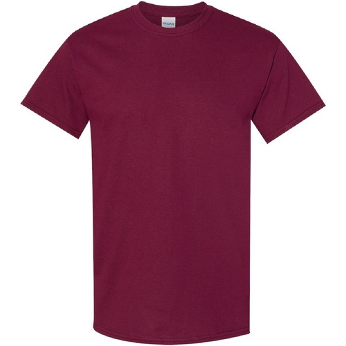 Abbigliamento Uomo T-shirt maniche corte Gildan Heavy Multicolore